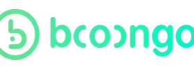 Booongo game provider